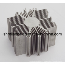 Aluminium / Alliage d&#39;aluminium Extrudé Industrial Heat Sinks